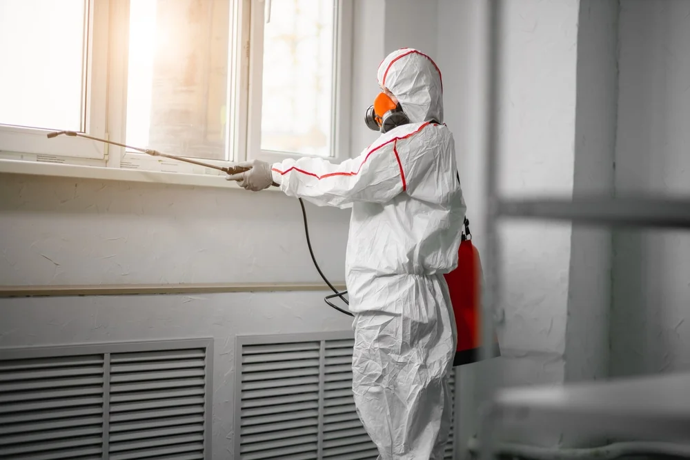 Professional mold remediation services in Wright, AR